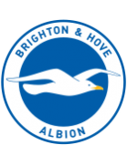 Brighton & Hove Albion Logo