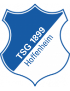 Hoffenheim Logo